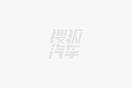 微型车 奇瑞QQ多米正式上市冰球突破游戏
